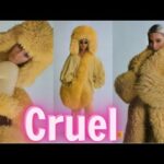 north west lion king video