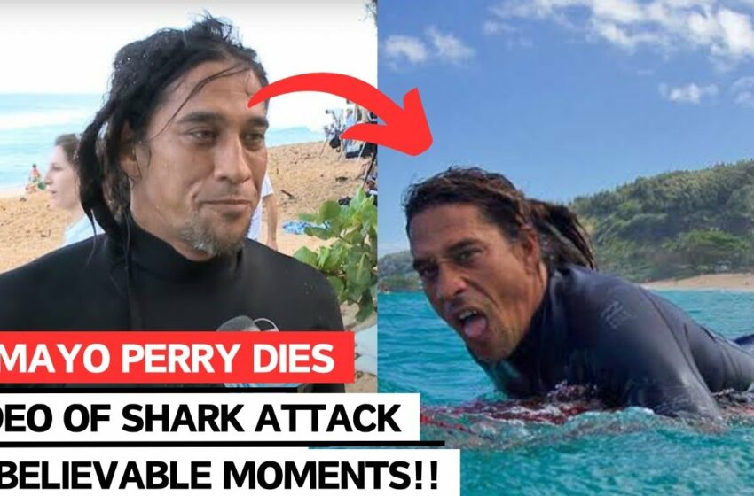  Pirates of the Caribbean actor Tamayo Perry dies in shark attack while surfing in Hawaii