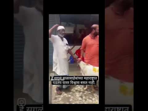  ram goat navi mumbai full video