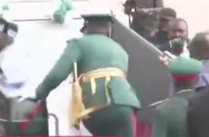  Video : President tinubu falls