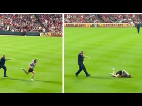 video mlb fan gets tasered and h