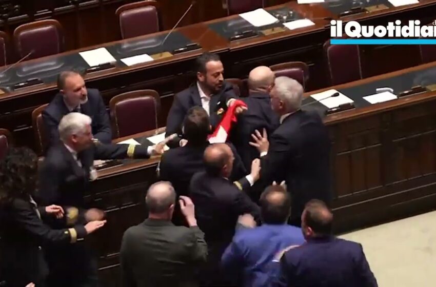  video rissa oggi in parlamento