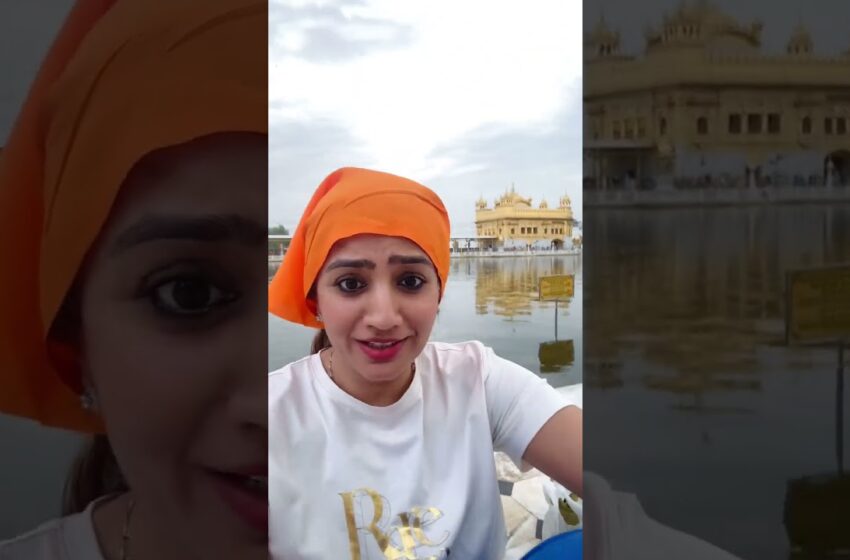  Video : yoga in golden temple amritsar