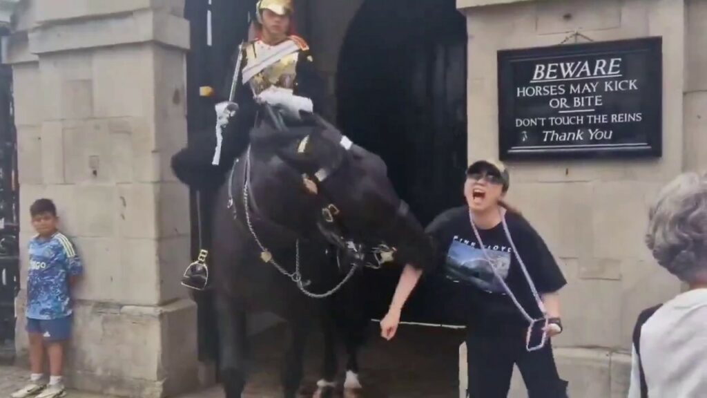 a tourist in the uk got a nasty A Tourist in the UK got a nasty bite from king charles guard horses