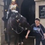 a tourist in the uk got a nasty