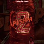 allu arjun pushpa 2