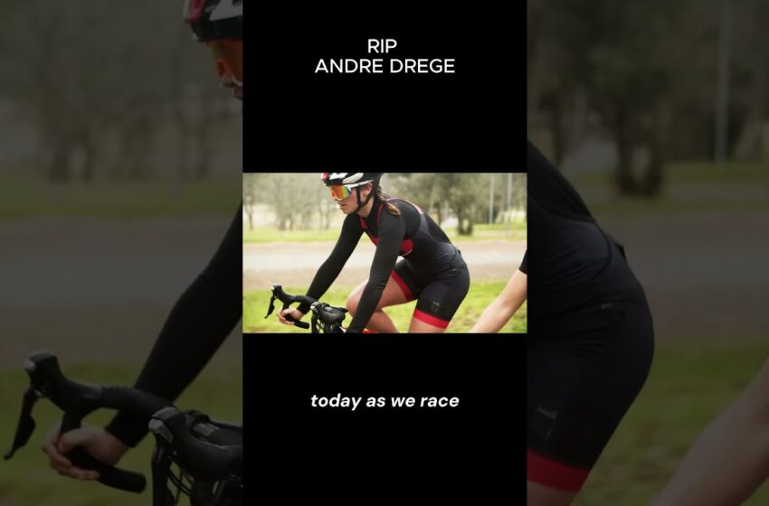  andre dredge video