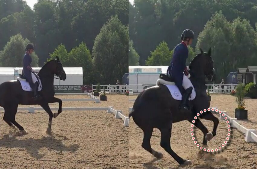  charlotte dujardin coaching full video