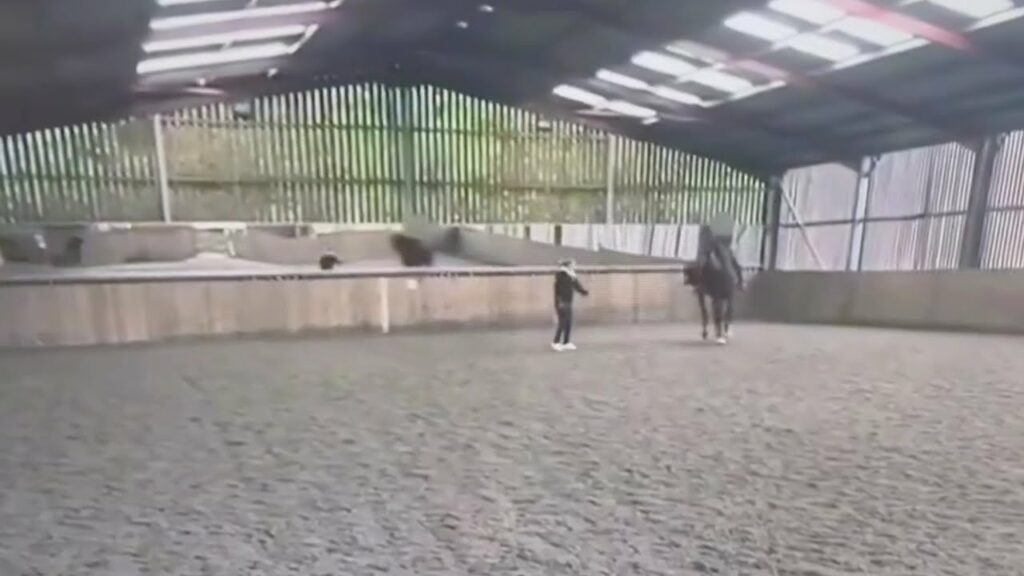 charlotte dujardin horse trainin