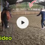 charlotte dujardin horse video c