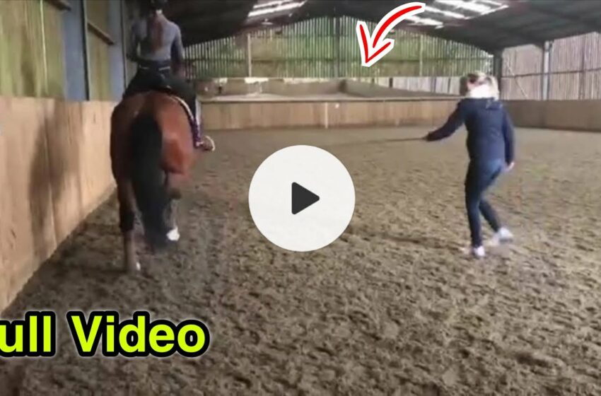  charlotte dujardin horse video | charlotte dujardin error video | charlotte dujardin video