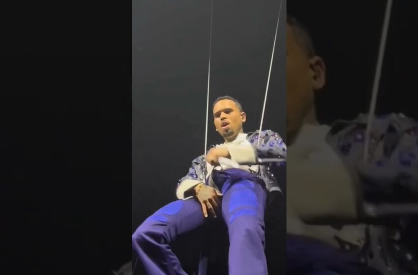  Chris Brown goes viral for a prominent bulge during concert