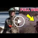 cole prevost dog video