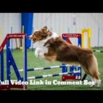 cole prevost dog video episode w