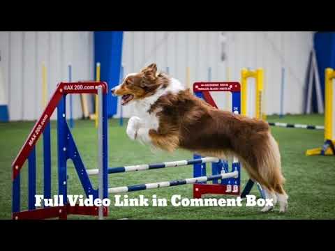  cole prevost dog video, episode Watch Full cole prevost dog video Link