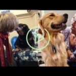cole prevost video