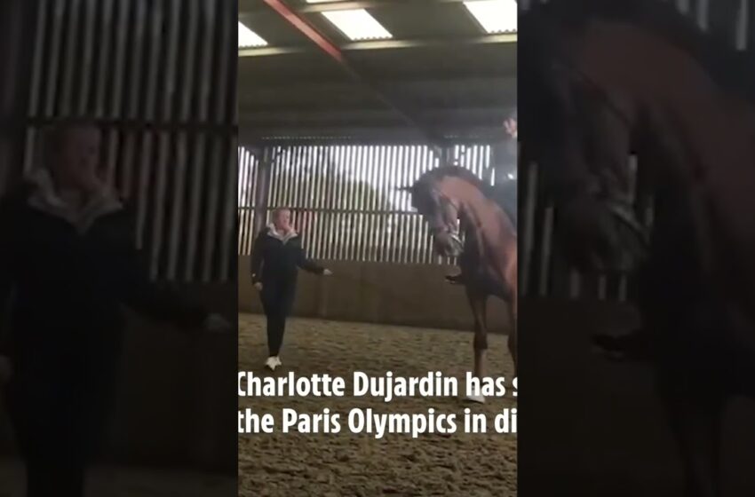  Charlotte Dujardin whips horse more than 20 times