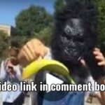 gorilla mask video tiktok