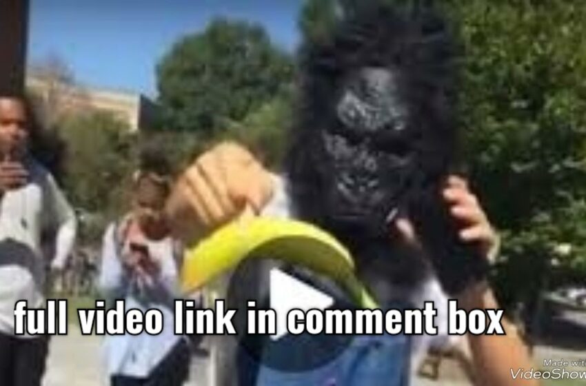  gorilla mask video