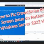 how to fix crowdstrike blue scre