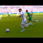 luciano gondou goal argentina vs