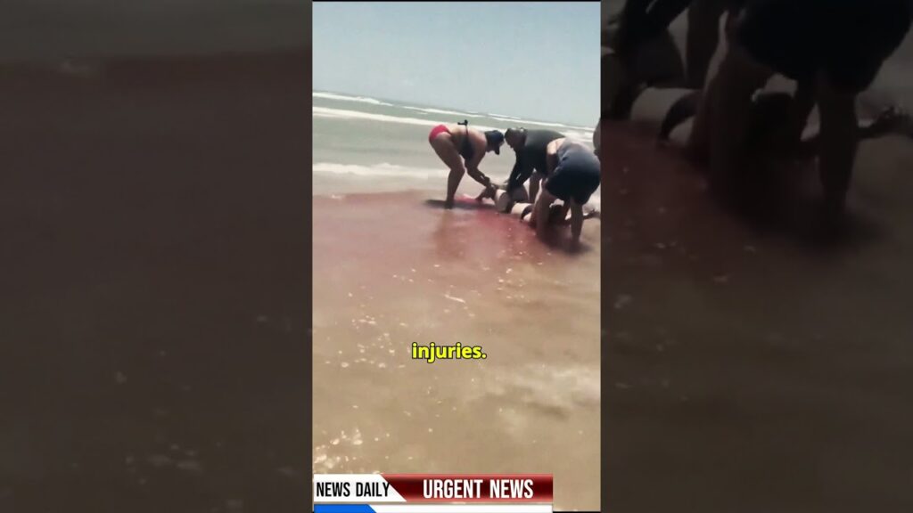 shark south padre island