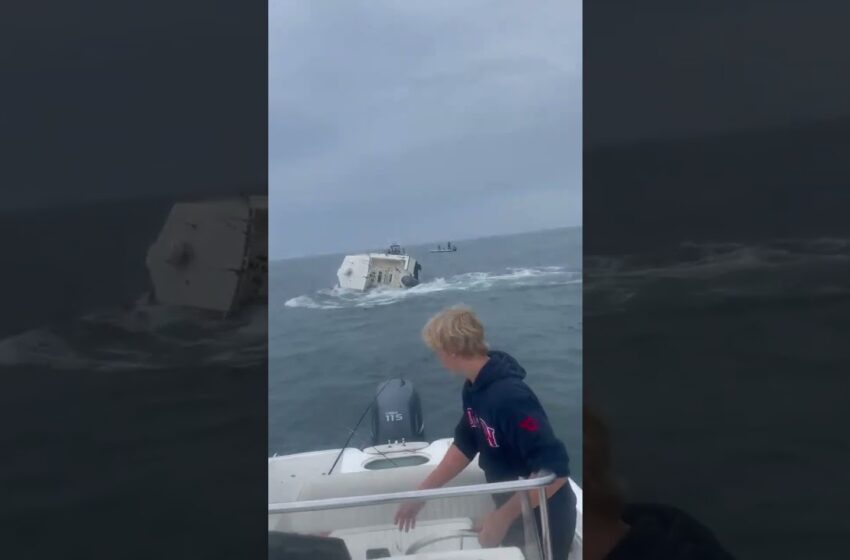  Video : whale capsizes boat