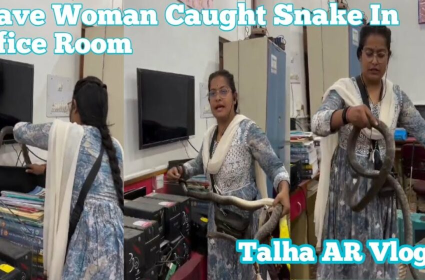  Viral Video, Brave Woman Caught Snake In Office Room