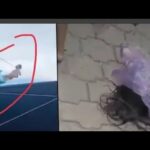 debora rebeca xi artola video