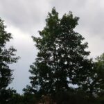 kugelblitz video