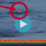 lazar dukic drowning