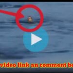 lazar dukic video