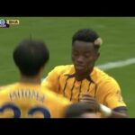 video everton vs brighton 0 3 hi