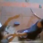 video syur anak musisi david nai