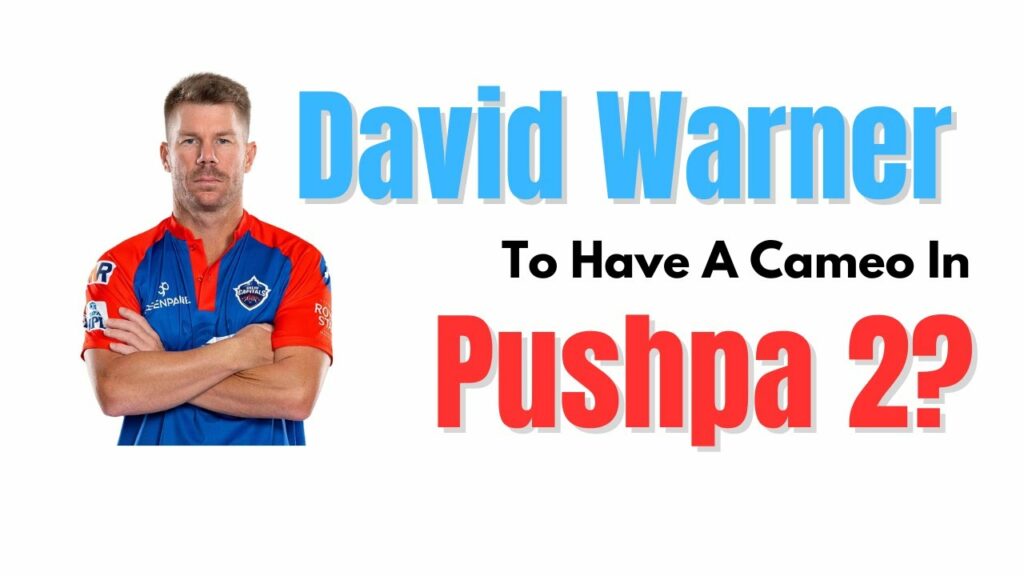 david warner cameo in pushpa 2