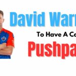 david warner cameo in pushpa 2