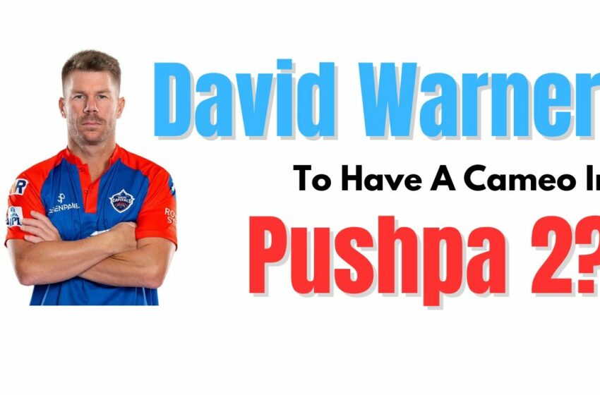  david warner cameo in pushpa 2