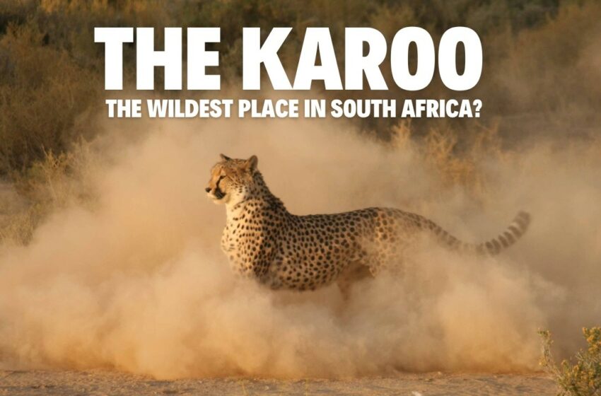  Is the Karoo the Wildest Place in South Africa