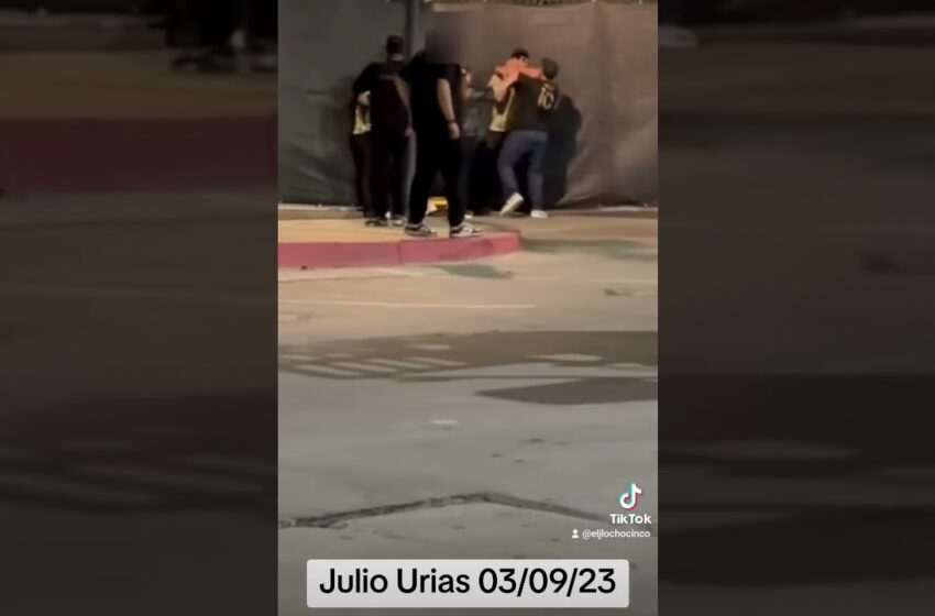  julio urias domestic video leaked