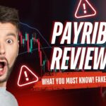 Payrib: The Easy Way to Earn by Watching Ads and Taking Surveys 2 payrib the easy way to earn by w