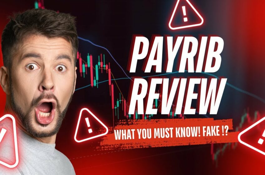  Payrib: The Easy Way to Earn by Watching Ads and Taking Surveys