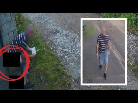  Phantom Pooper Strikes Again in Sussex