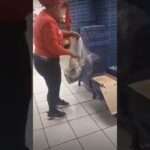 romans pizza recycling and using