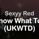 sexxxxyyyy ladies meaning in eng