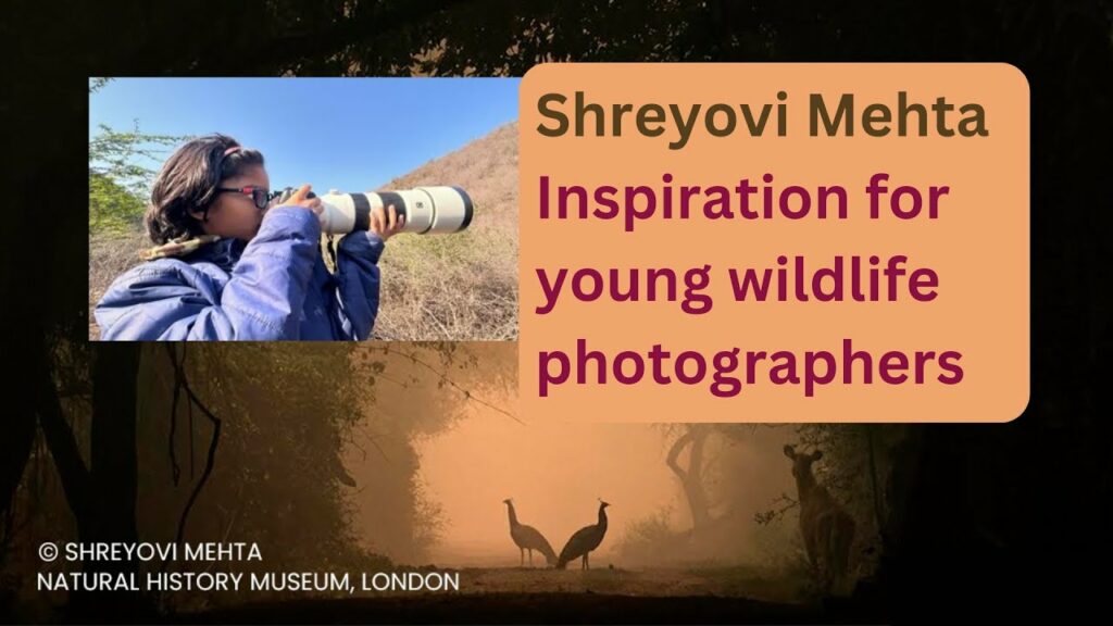 shreyovi mehta wildlife photogra