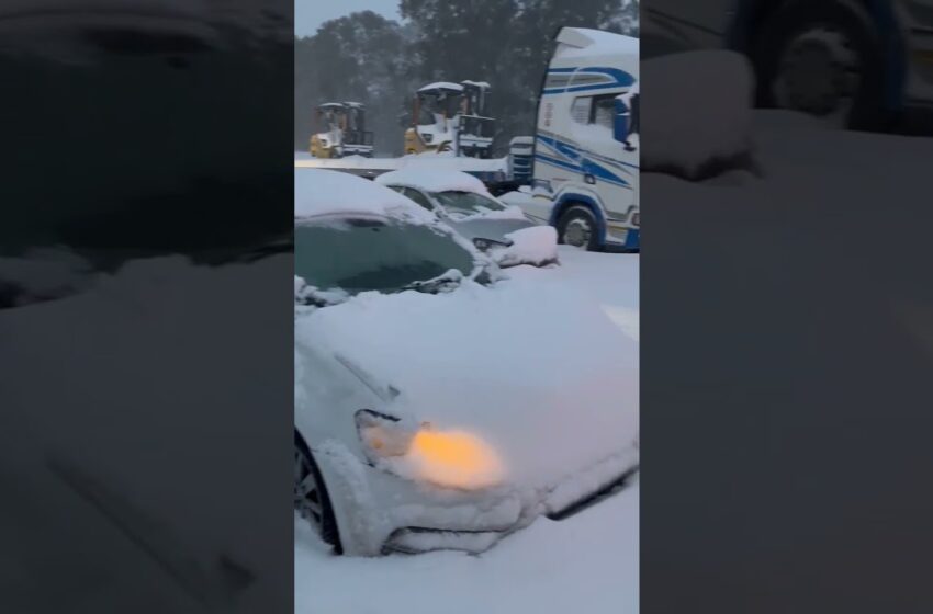  south africa snowfall full video