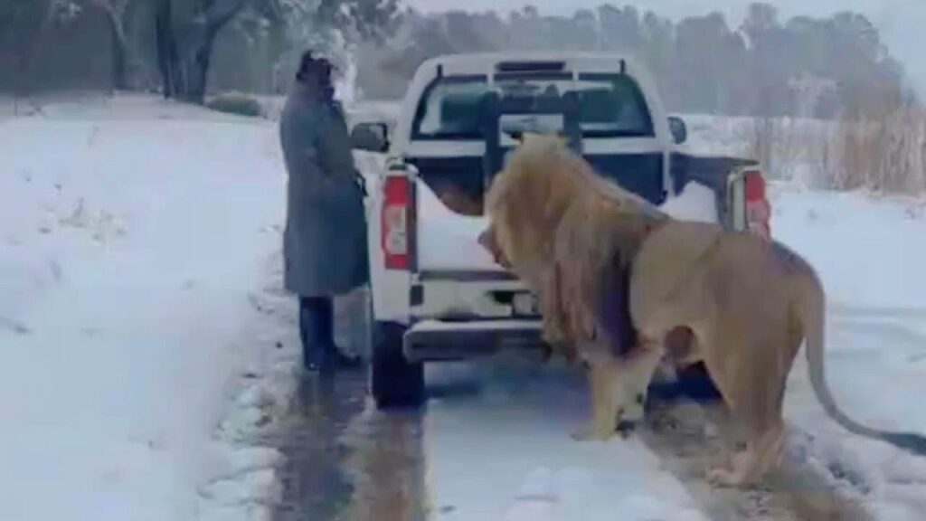 video south african snow storm