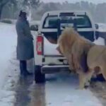 video south african snow storm