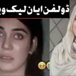 dolphin ayan viral video