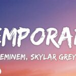 eminem temporary video